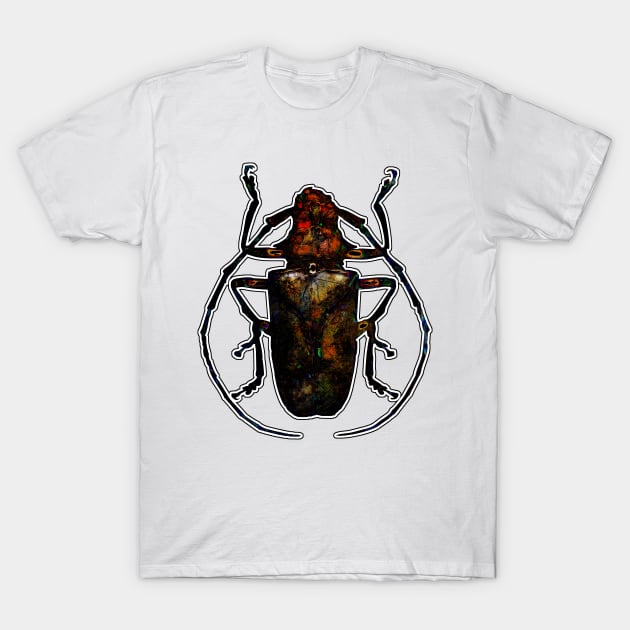 Dark Stone Beetle T-Shirt by crunchysqueak